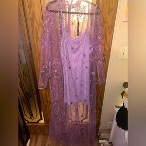 Butterfly Mesh Dress